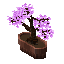 Thumbnail for version as of 11:51, 8 January 2026
