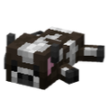 Thumbnail for version as of 22:53, 24 August 2026