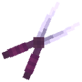 Thumbnail for version as of 12:11, 22 October 2026